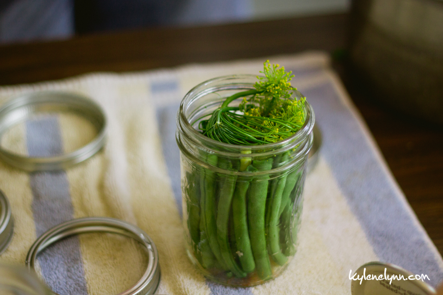 How to Make Dilly Beans » Kylene Lynn Photography