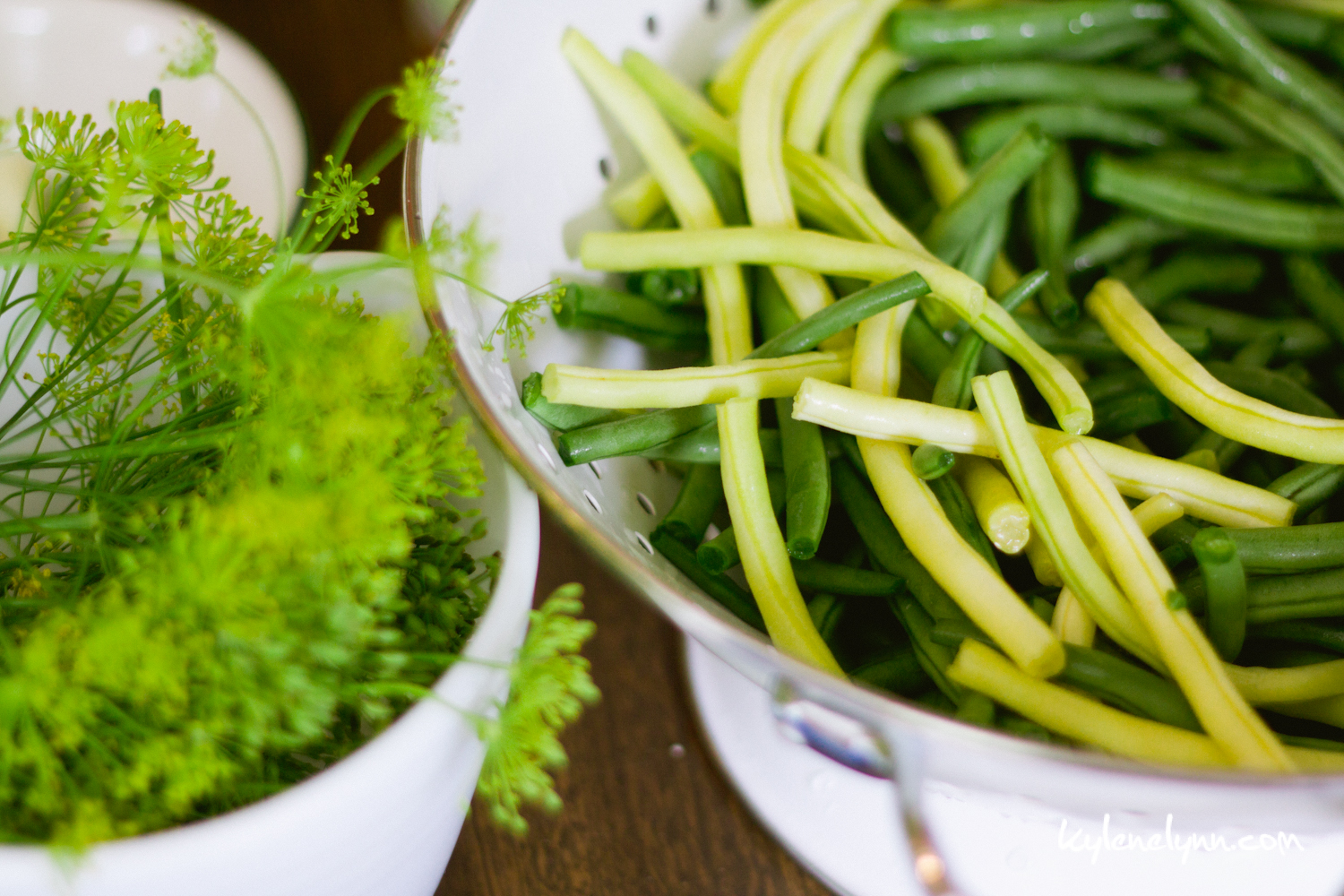How to Make Dilly Beans » Kylene Lynn Photography