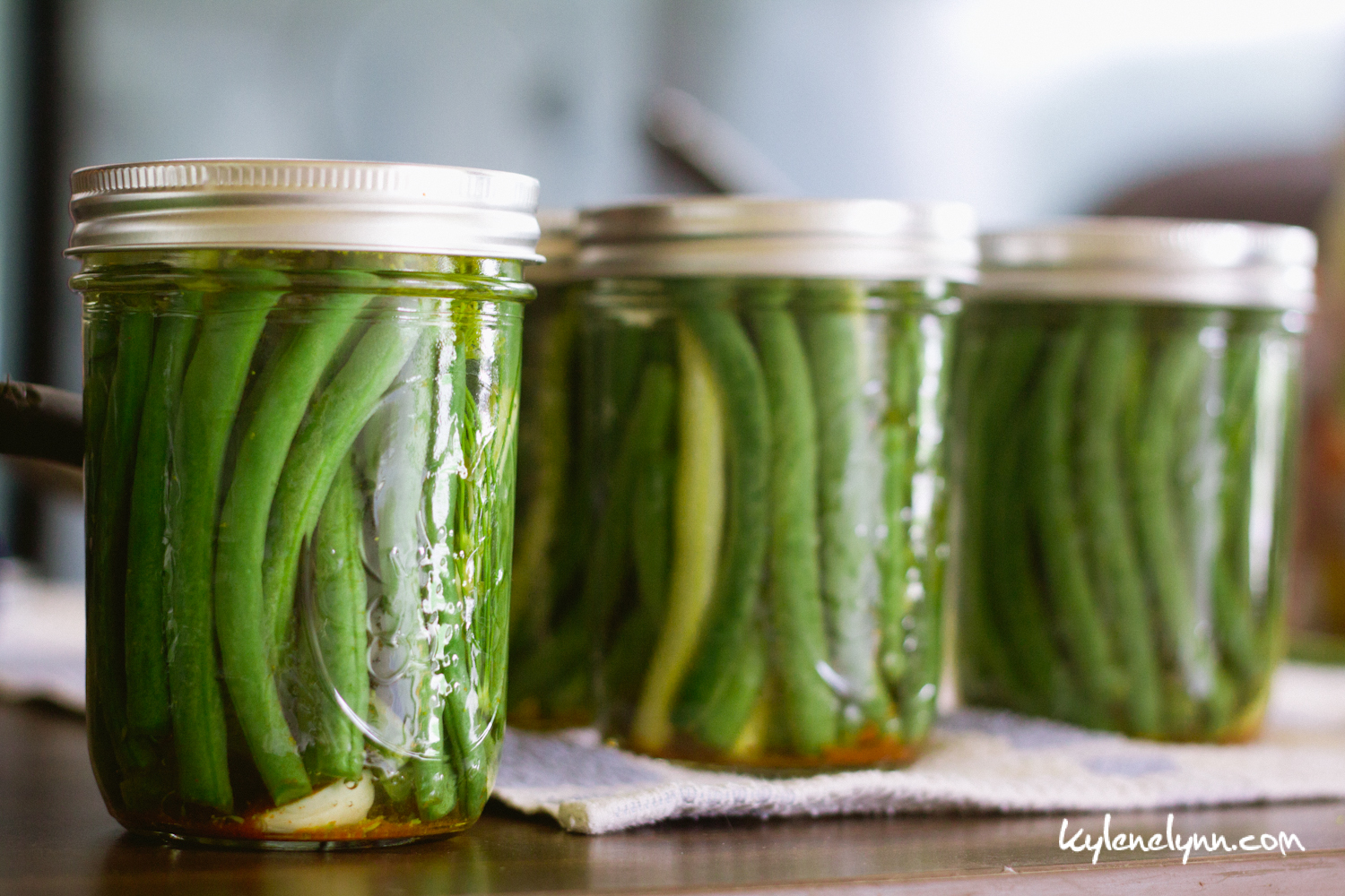 How to Make Dilly Beans » Kylene Lynn Photography