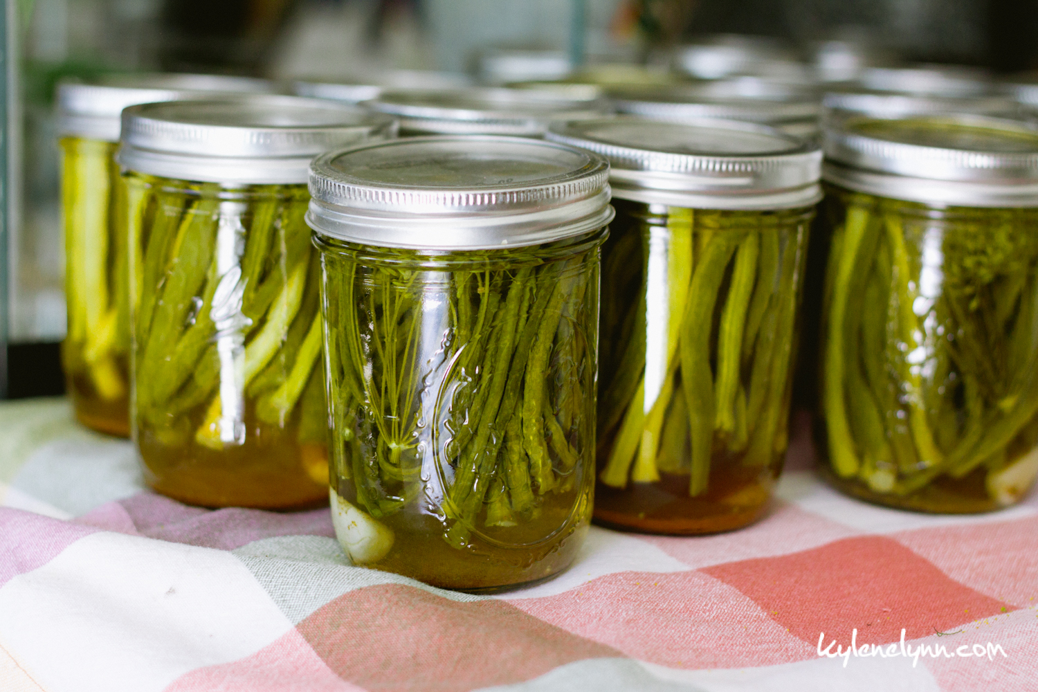 How to Make Dilly Beans » Kylene Lynn Photography