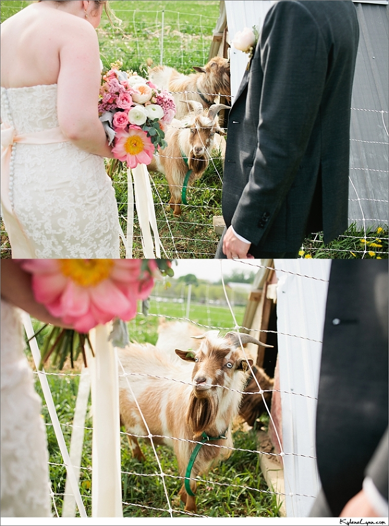 View More: http://kylenelynn.pass.us/michaelloveschelsea