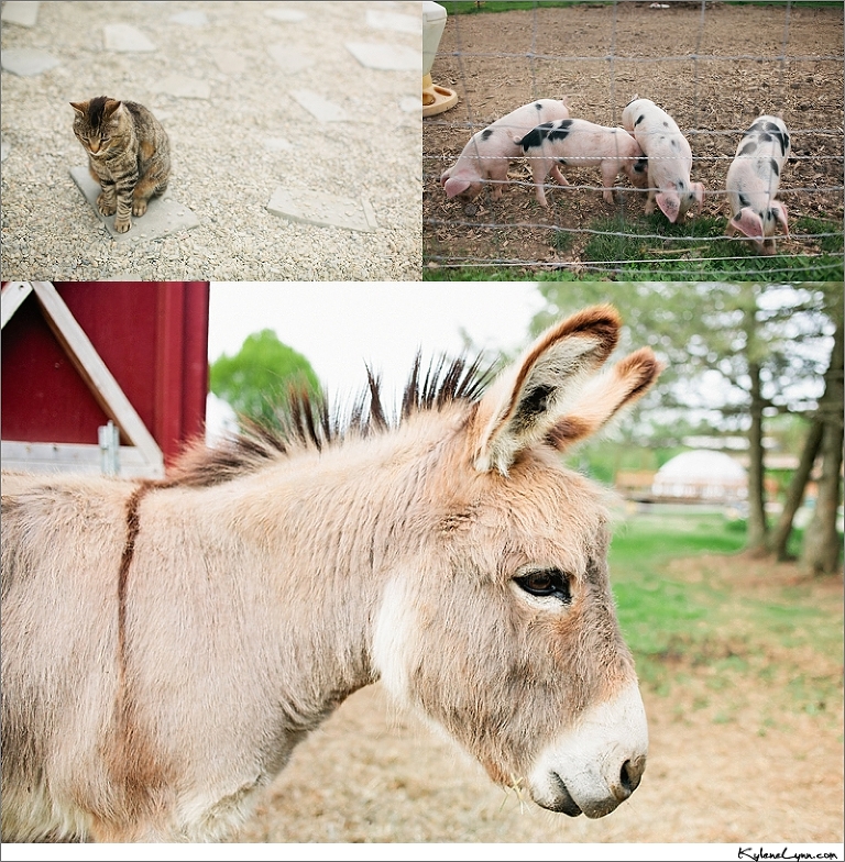 View More: http://kylenelynn.pass.us/michaelloveschelsea