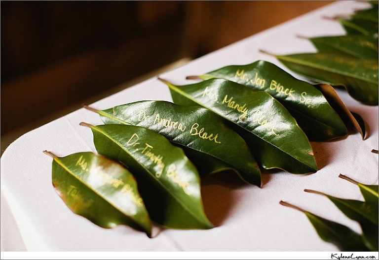 View More: http://kylenelynn.pass.us/michaelloveschelsea